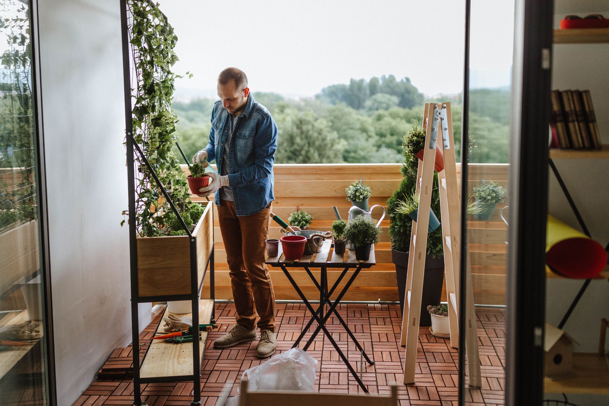 Gardening In A Small Apartment